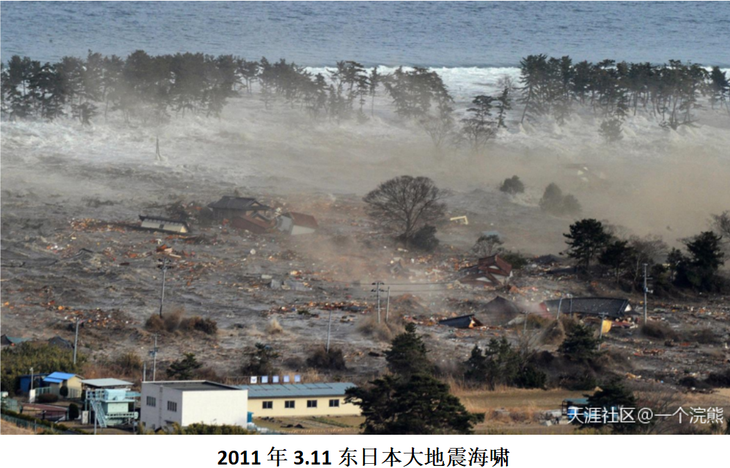 311日本地震海啸.PNG