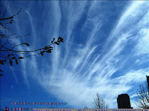 20110101日本10：-拍云分析.gif