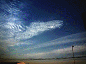20110411上海17：20--1830拍云分析.gif