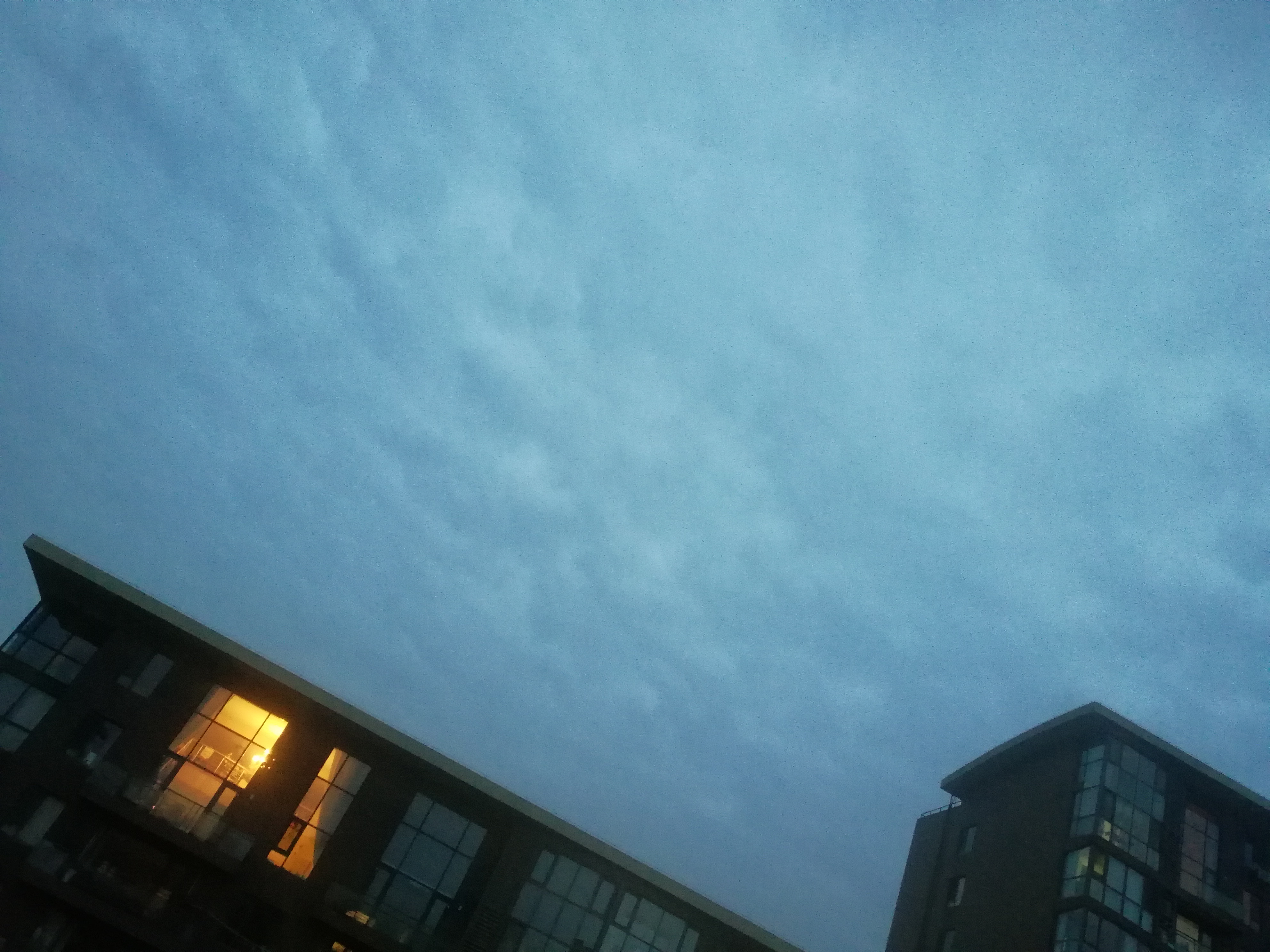 IMG_20220427_190543.jpg