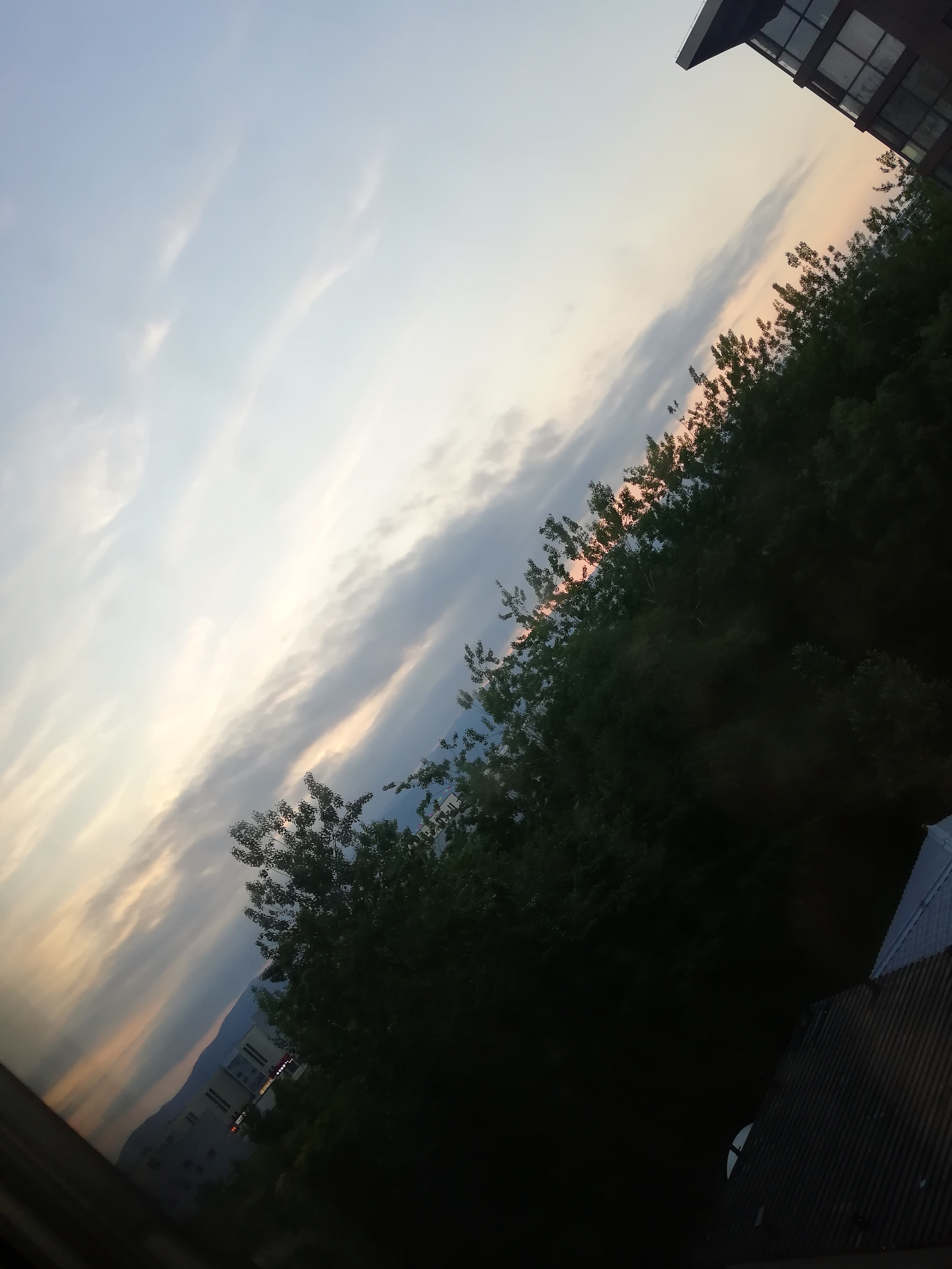 IMG_20220506_190904.jpg