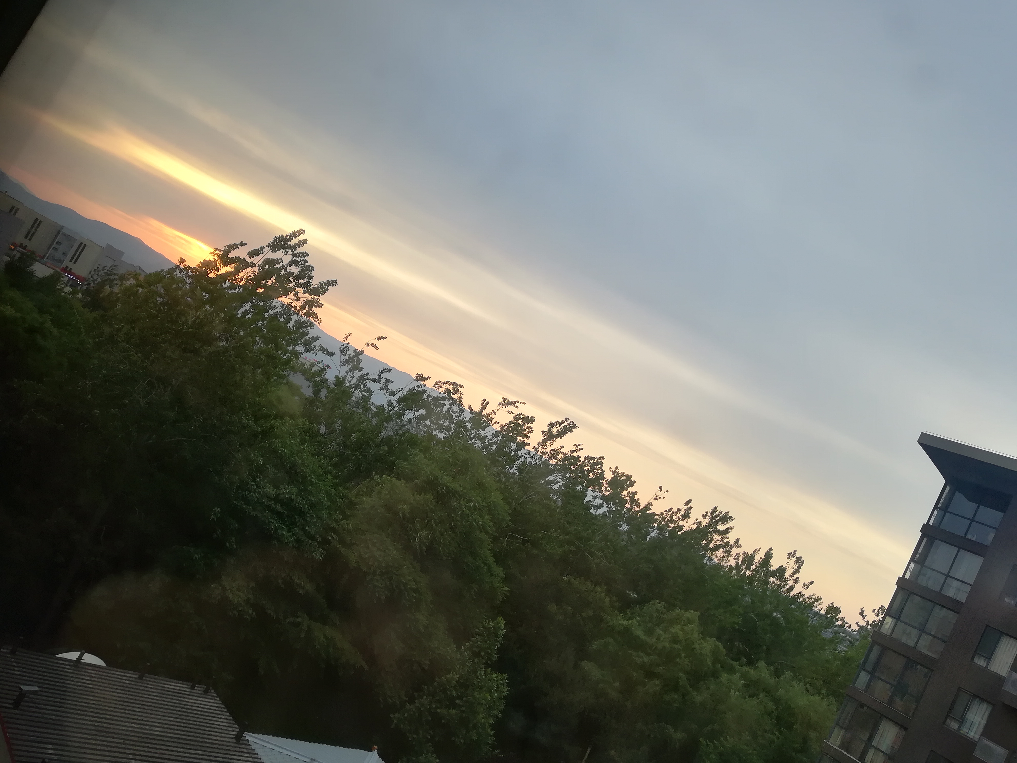 IMG_20220512_184808.jpg
