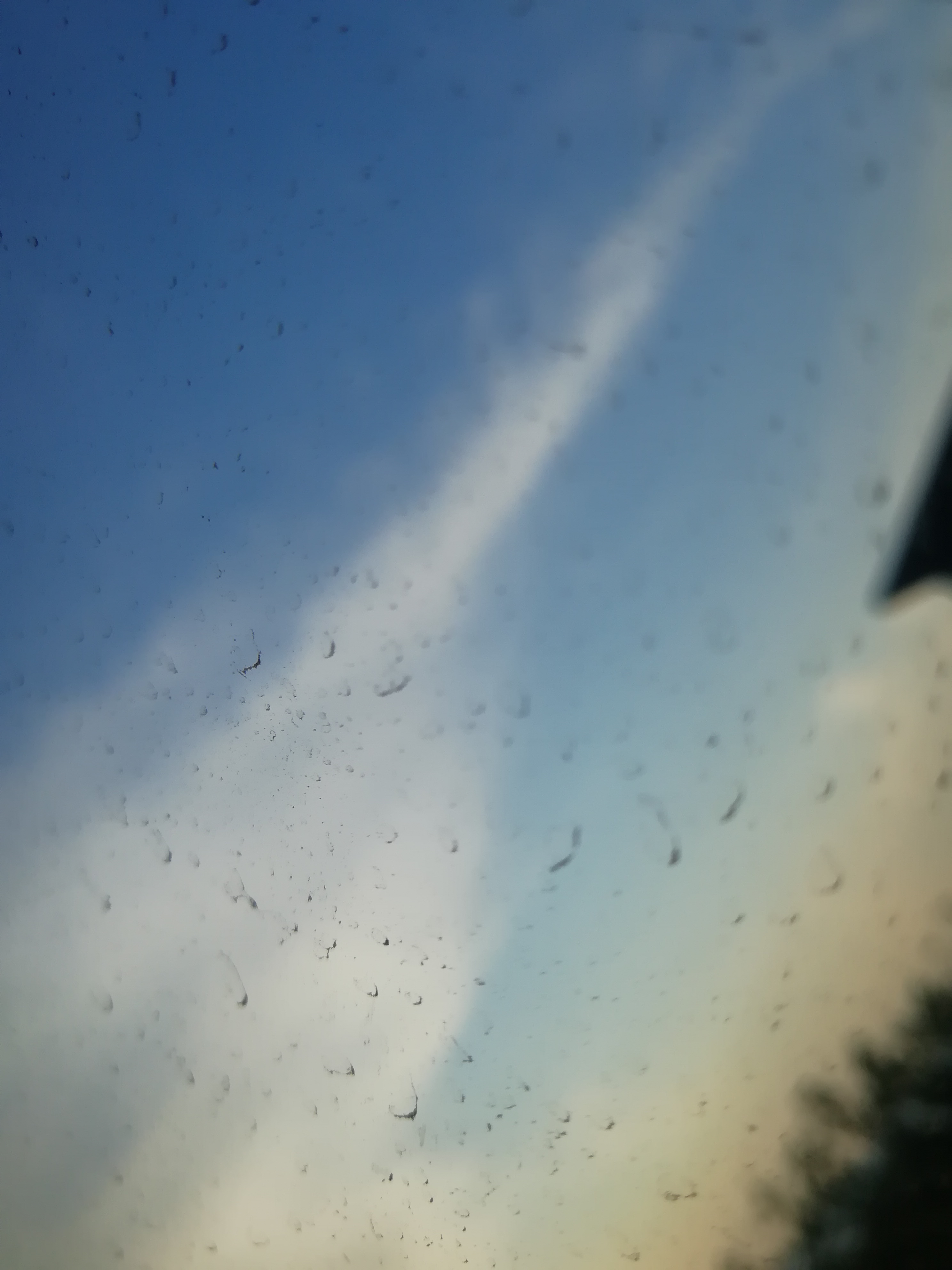 IMG_20220522_181059.jpg