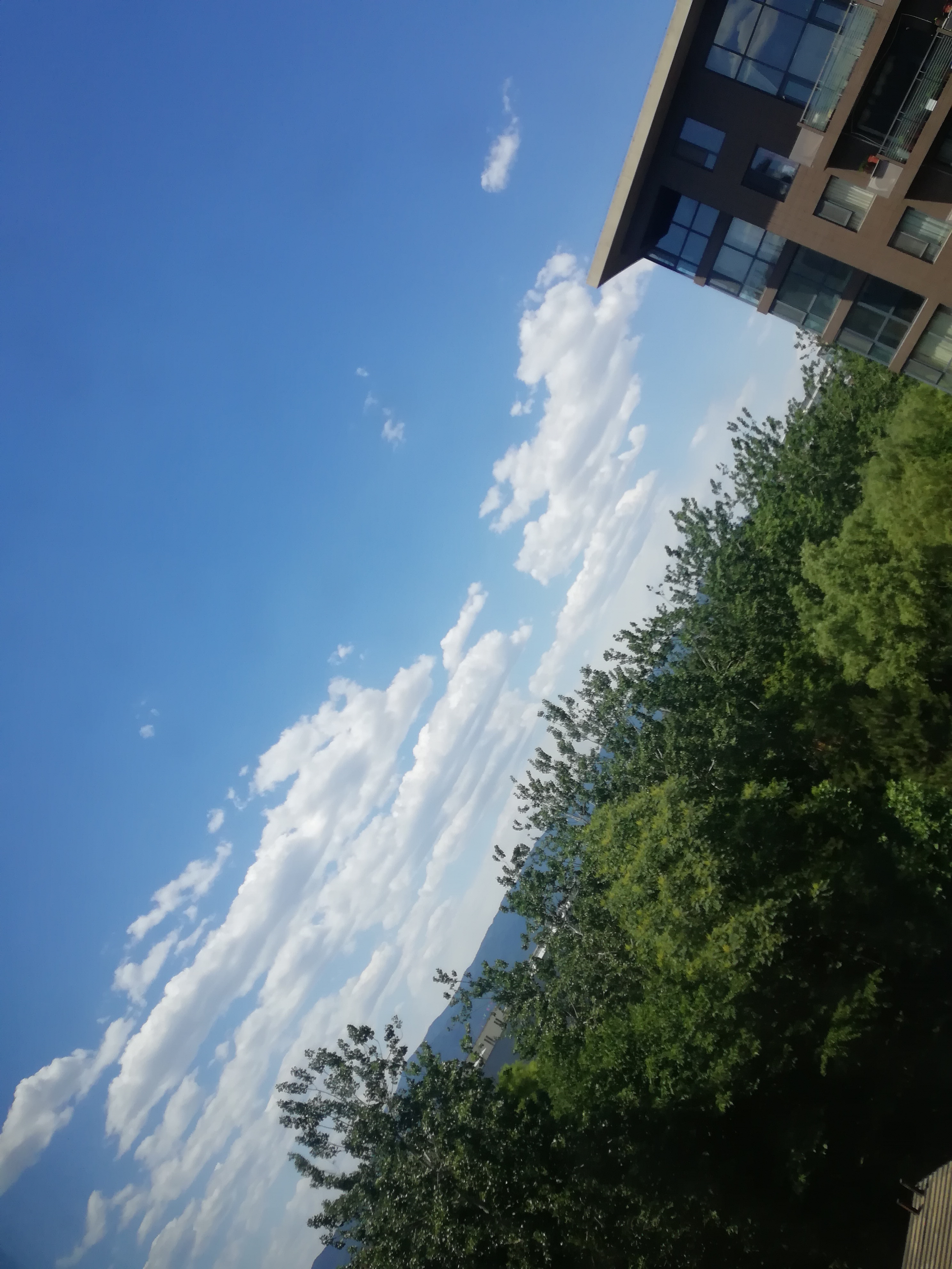 IMG_20220526_130948.jpg