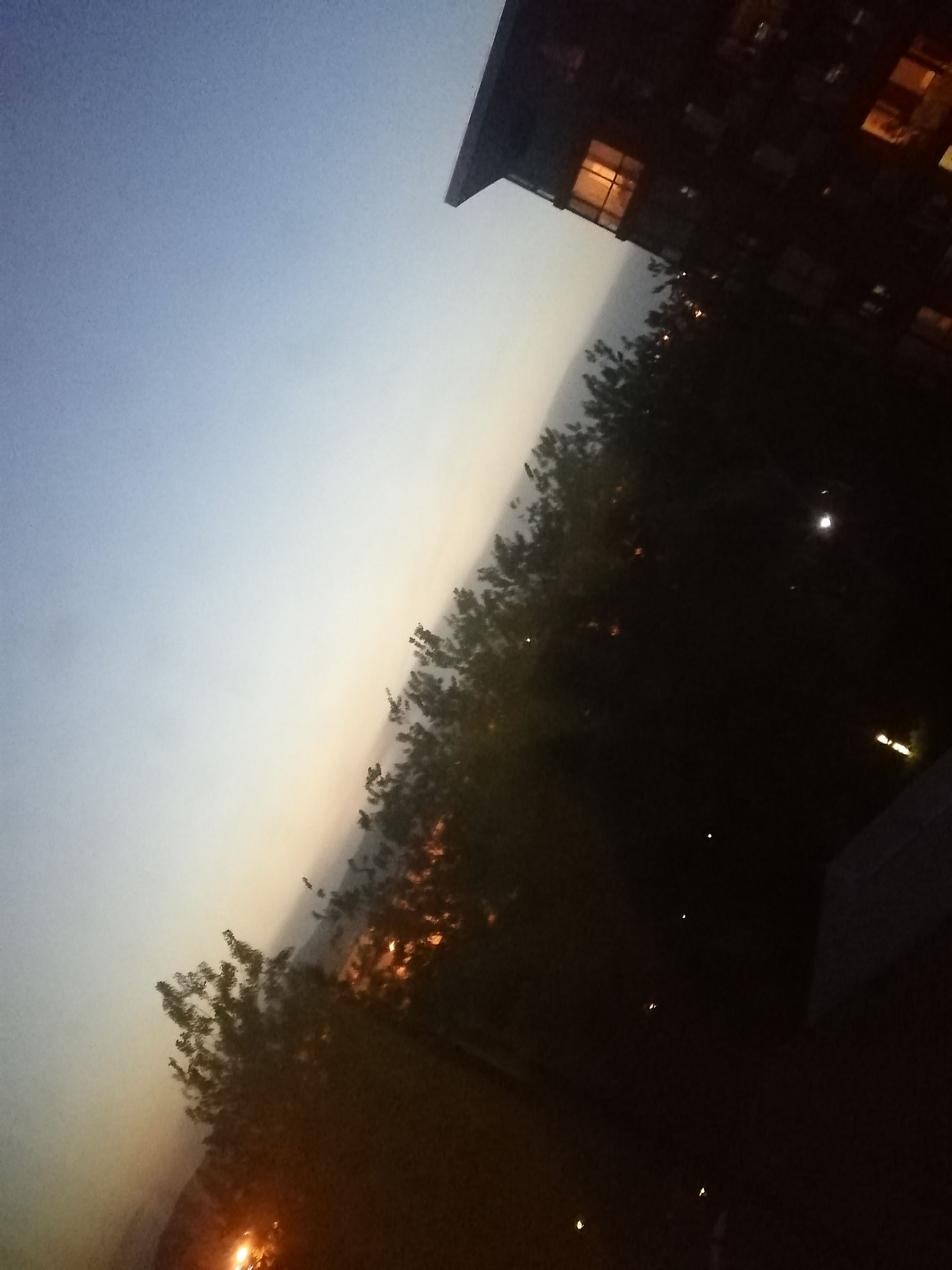 IMG_20220527_200602.jpg