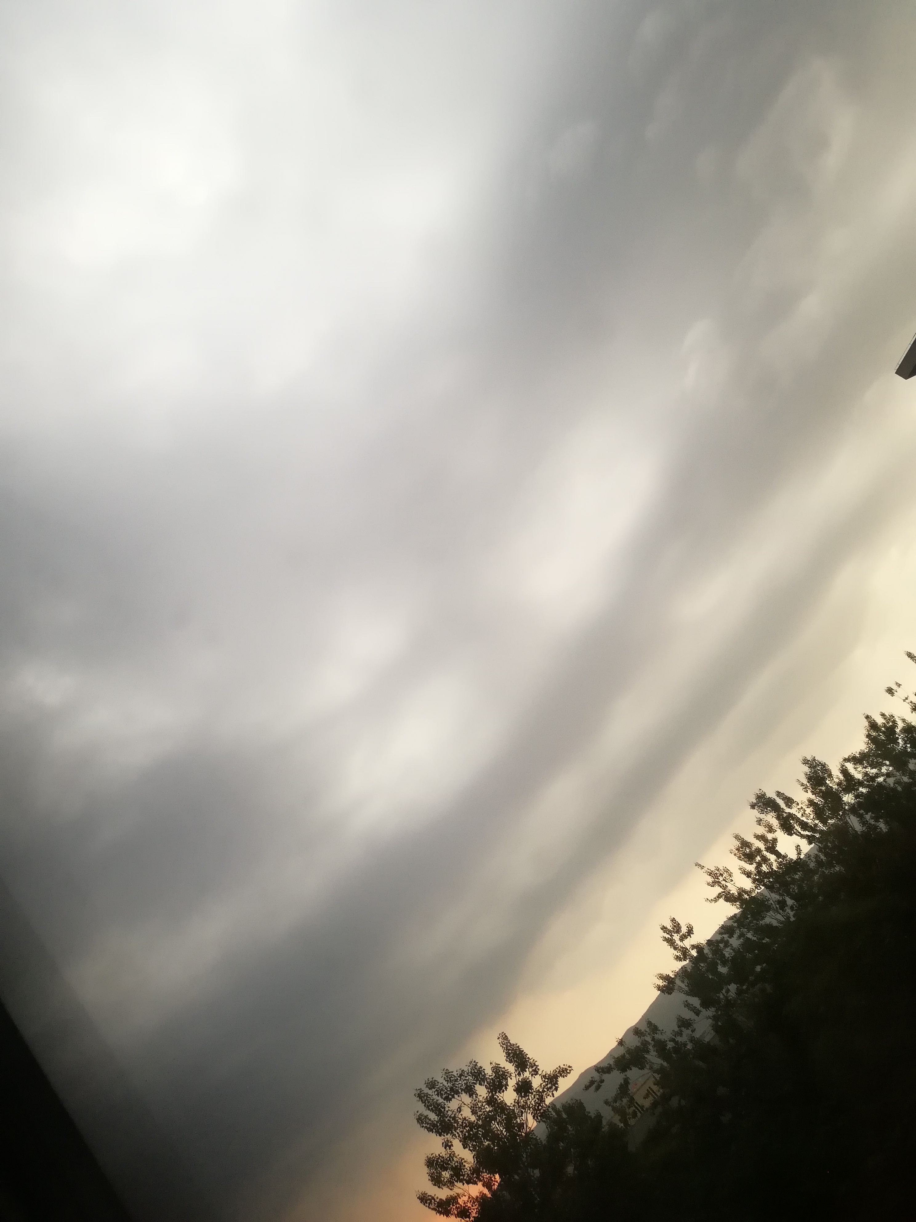 IMG_20220607_192257.jpg