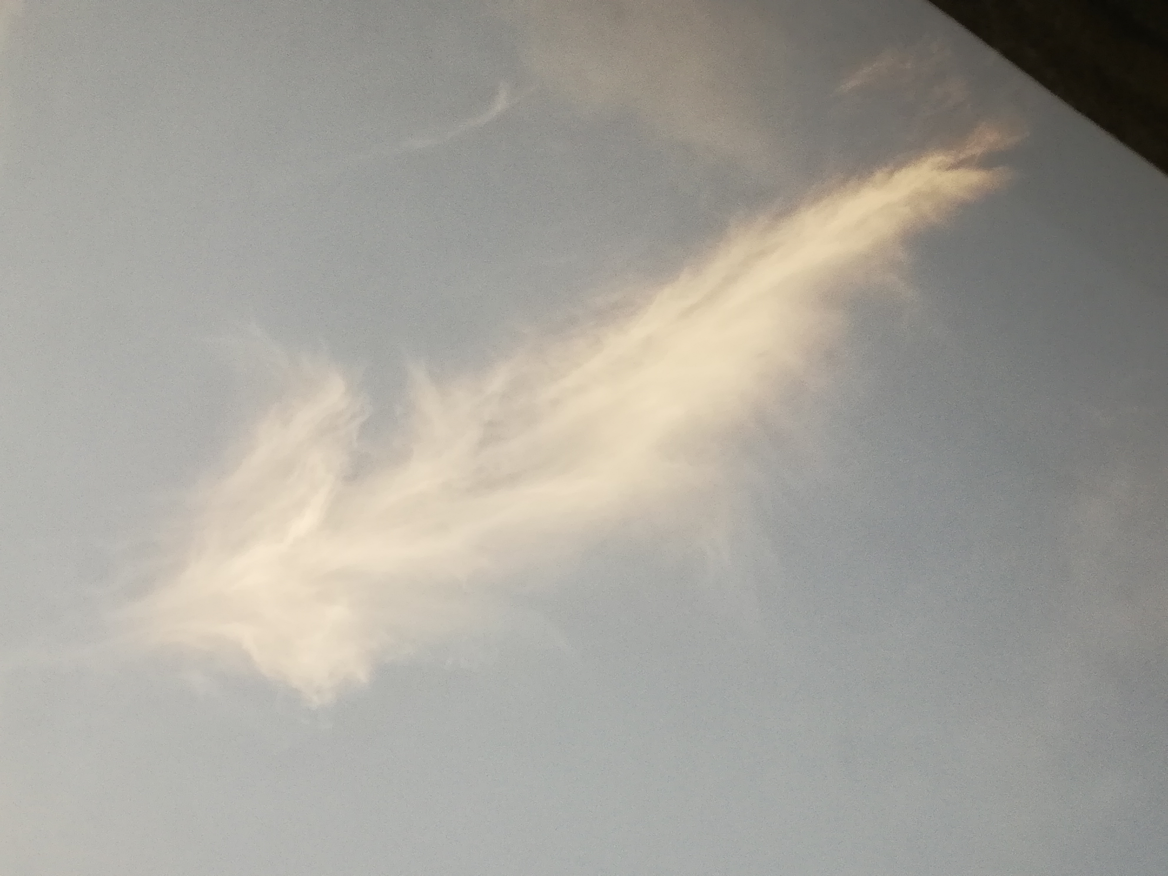 IMG_20220807_191147.jpg