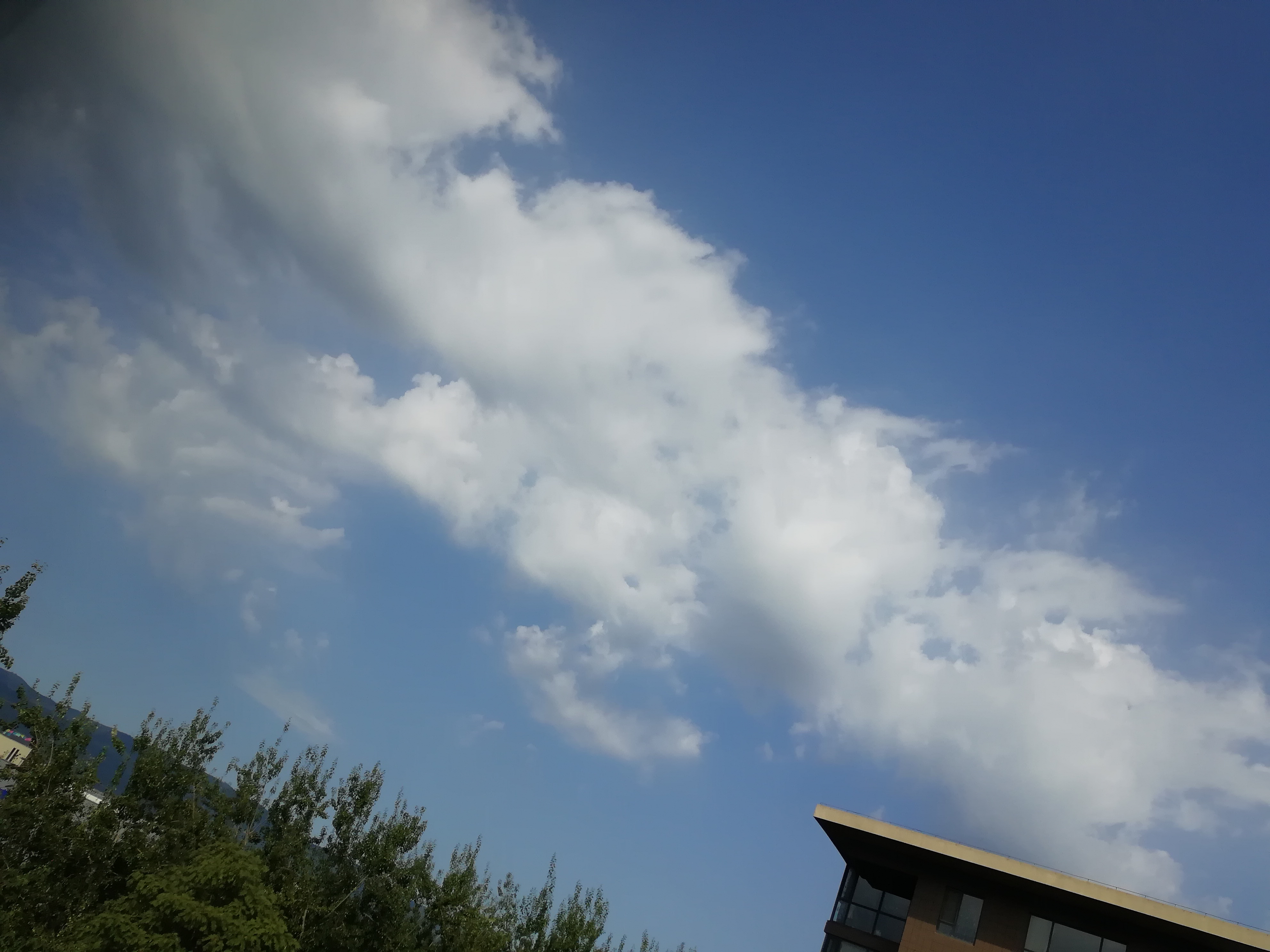IMG_20220918_101738.jpg
