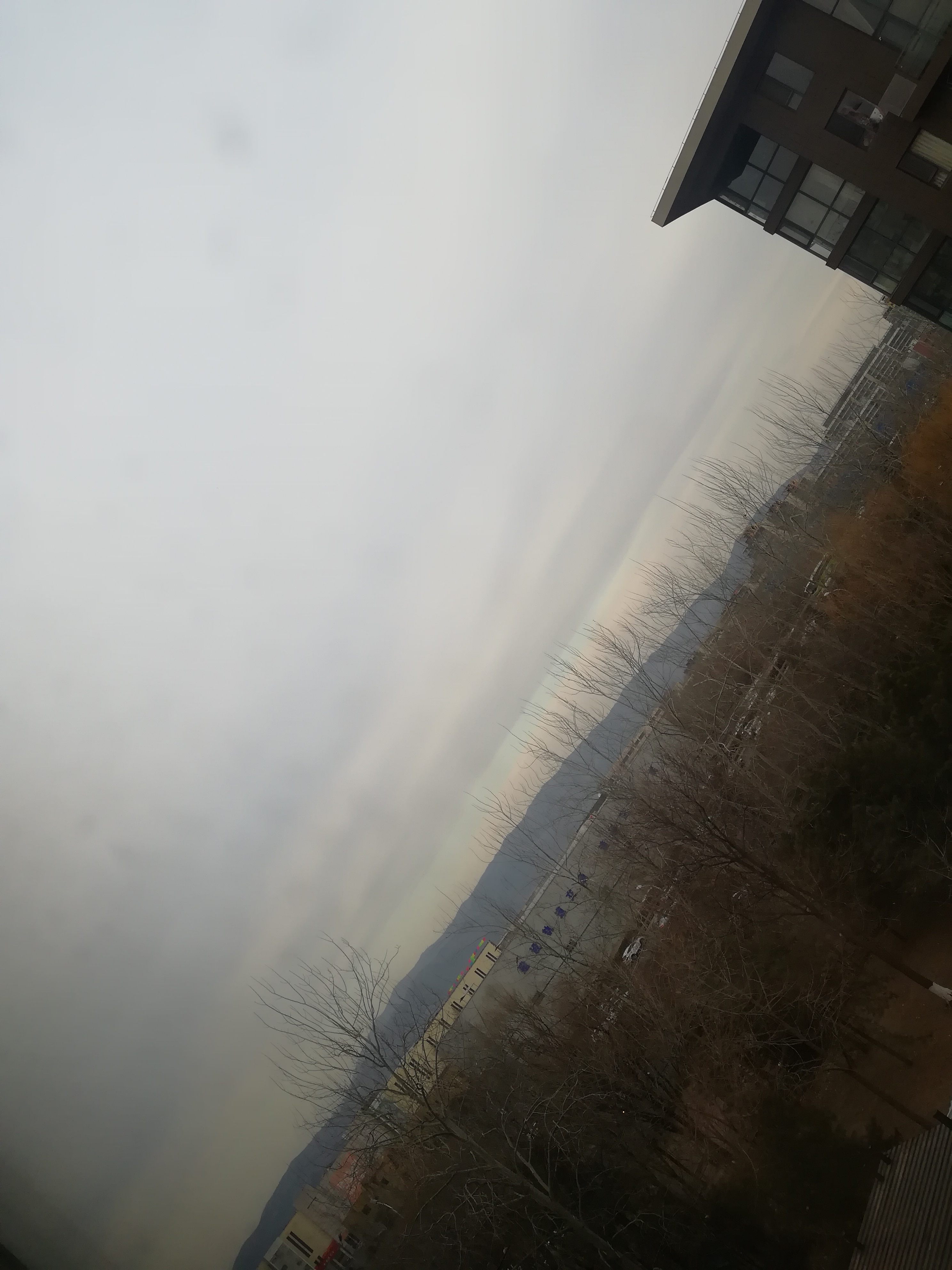 IMG_20230203_083644.jpg