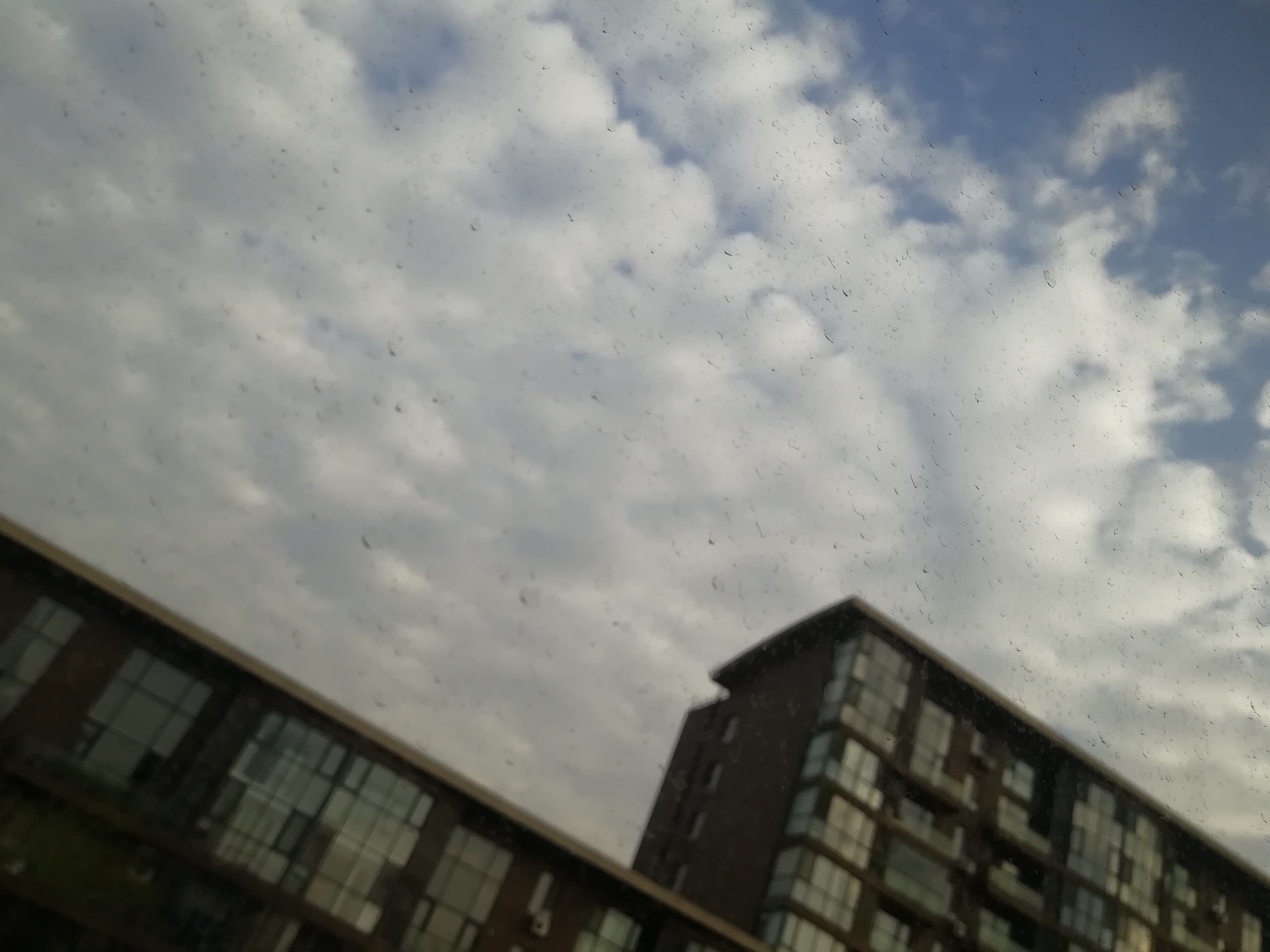 IMG_20230314_075347.jpg