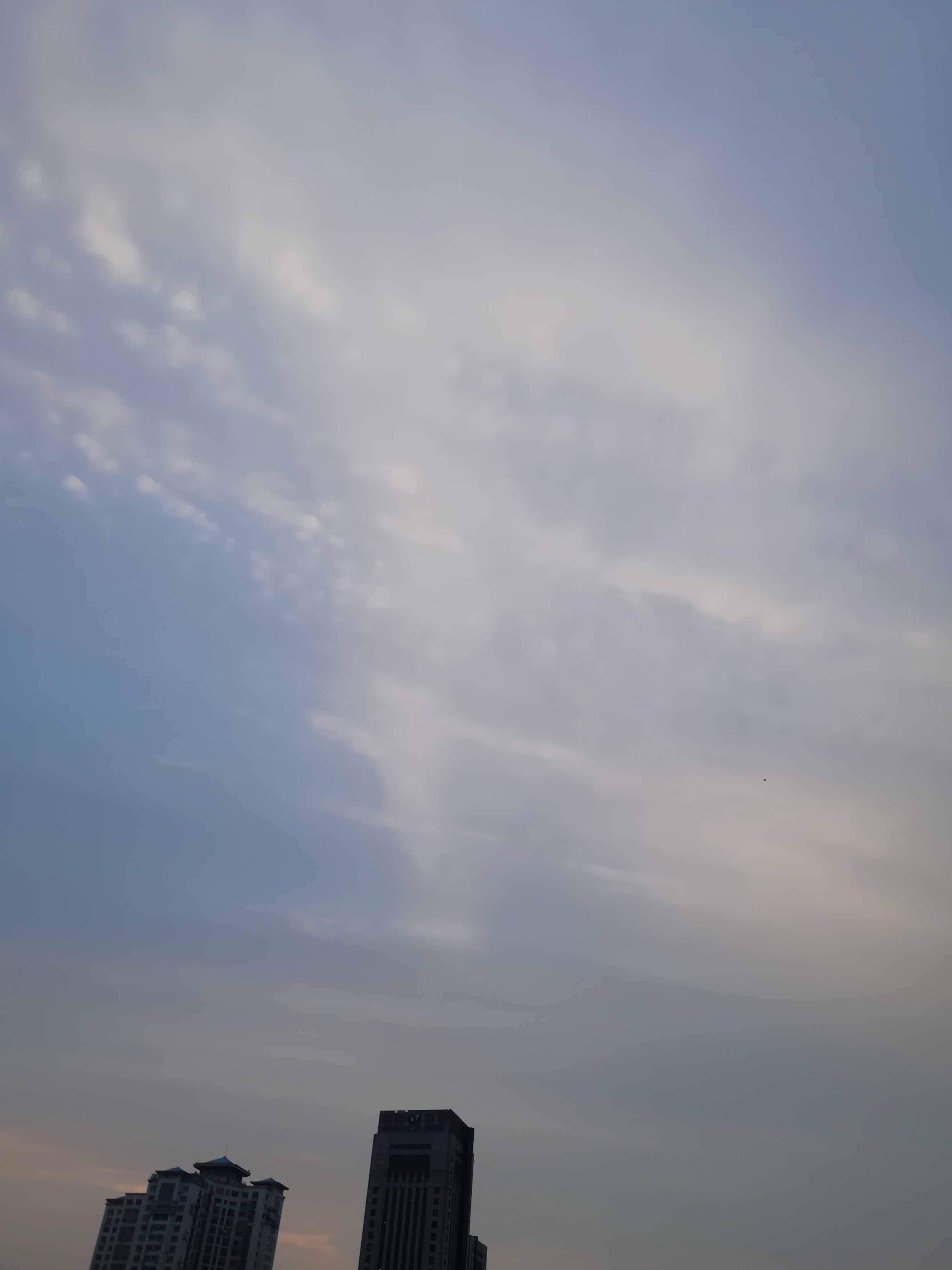 IMG_20230528_191711.jpg