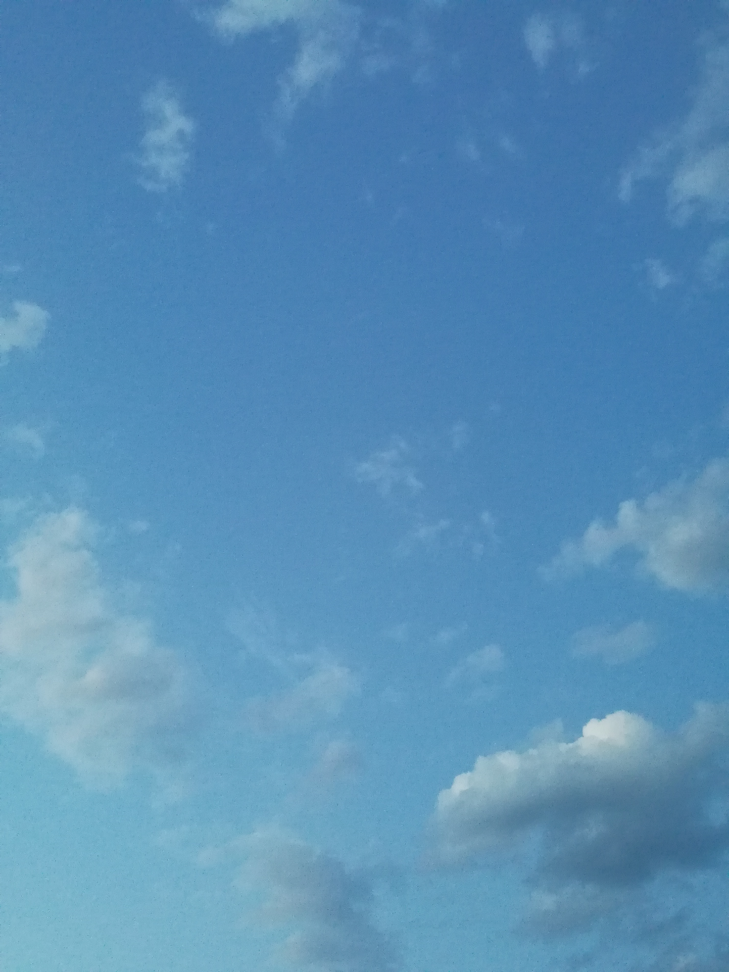 IMG_20230605_195519.jpg