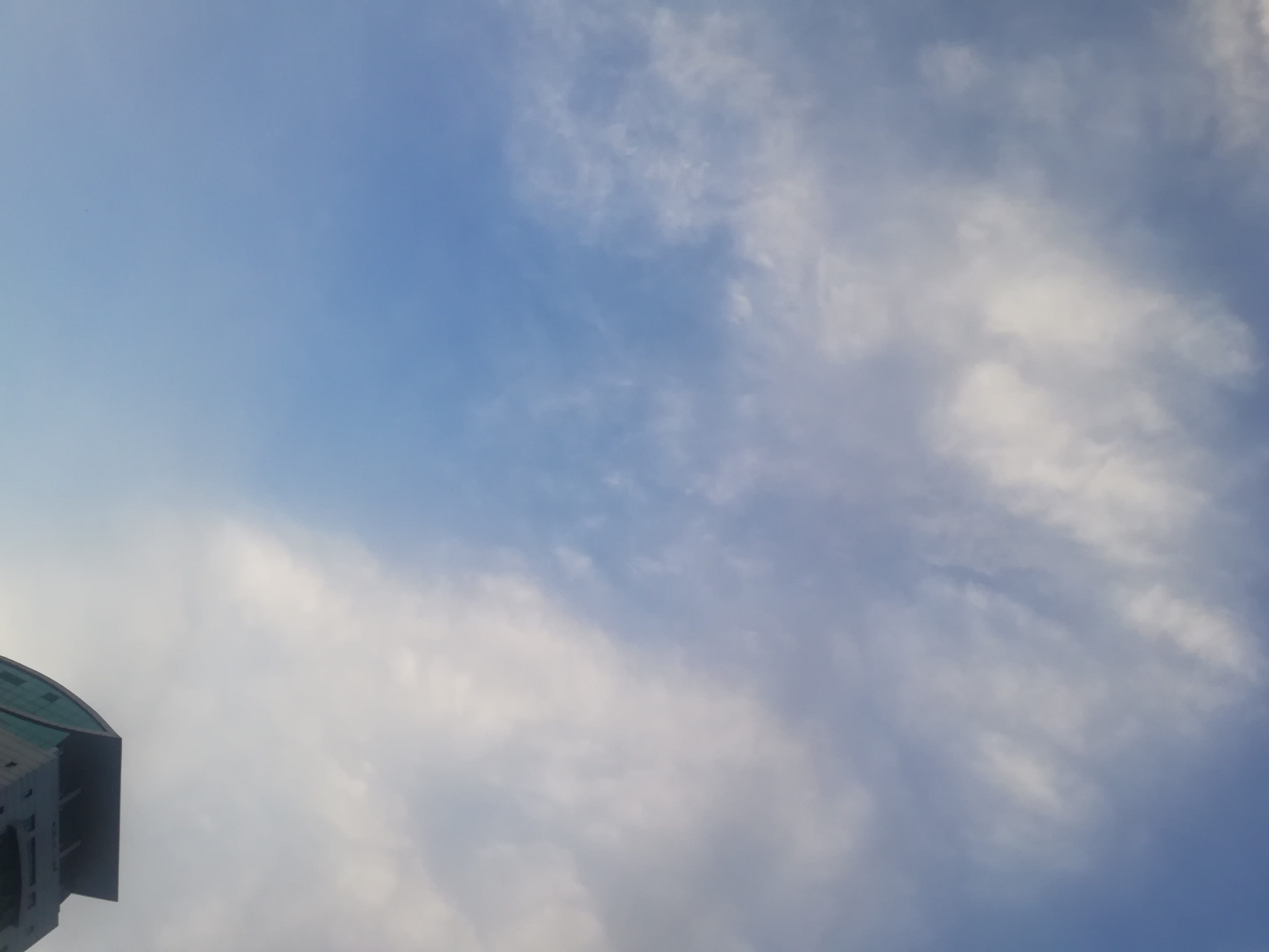 IMG_20230618_193356.jpg