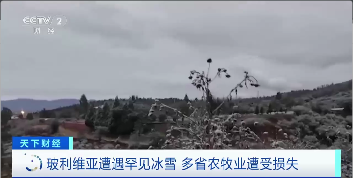 d28137e935e798a298e41929a338ad3f.png