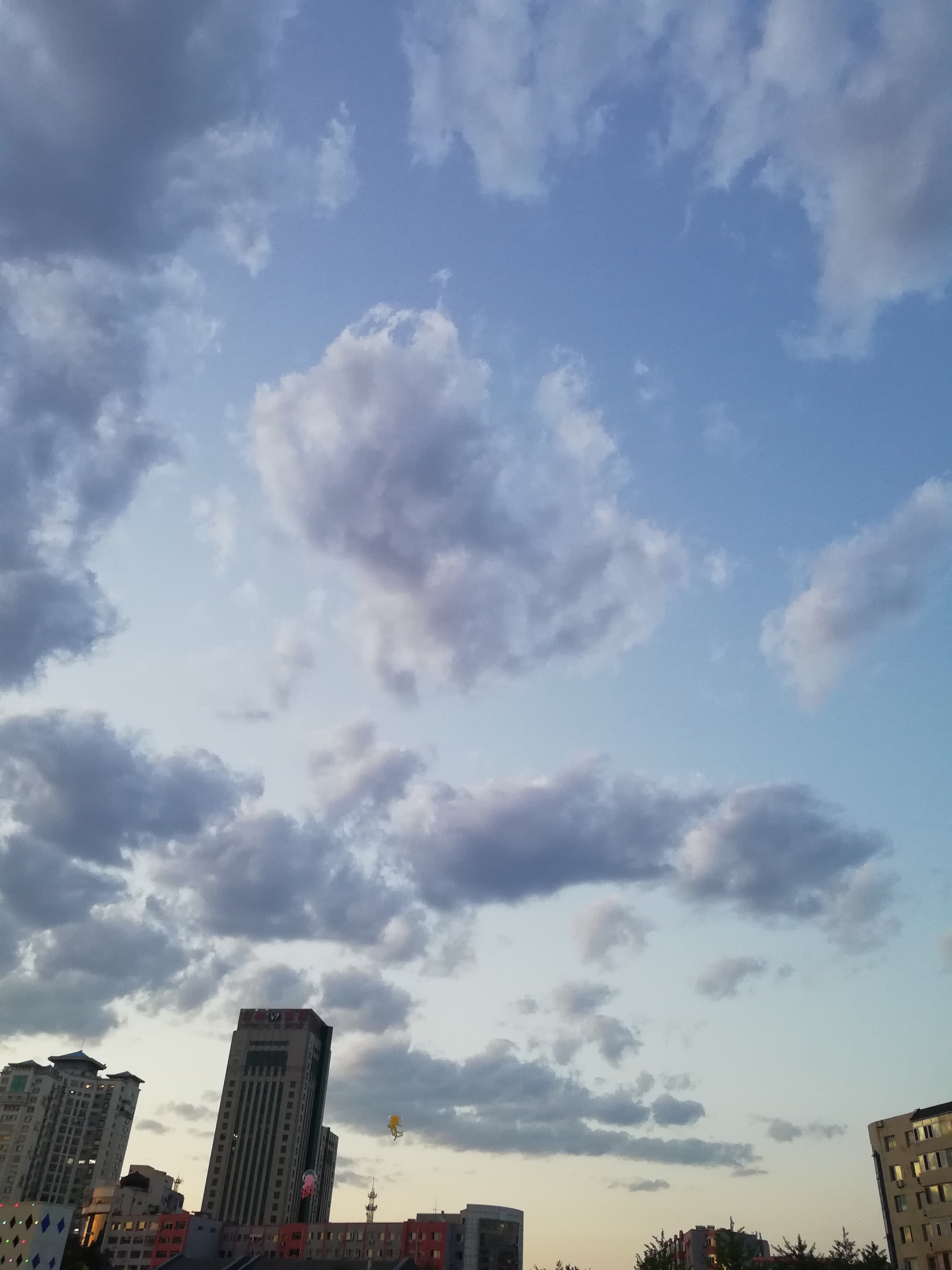 IMG_20230621_195102.jpg
