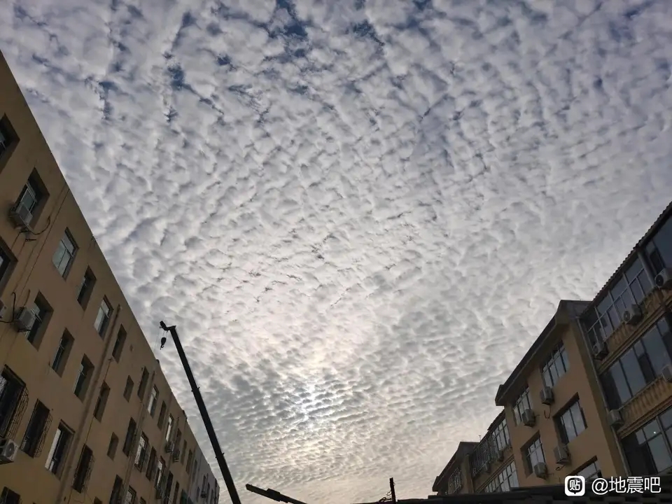 F81C127DD133E2A8EA606FA87036AF61.jpg