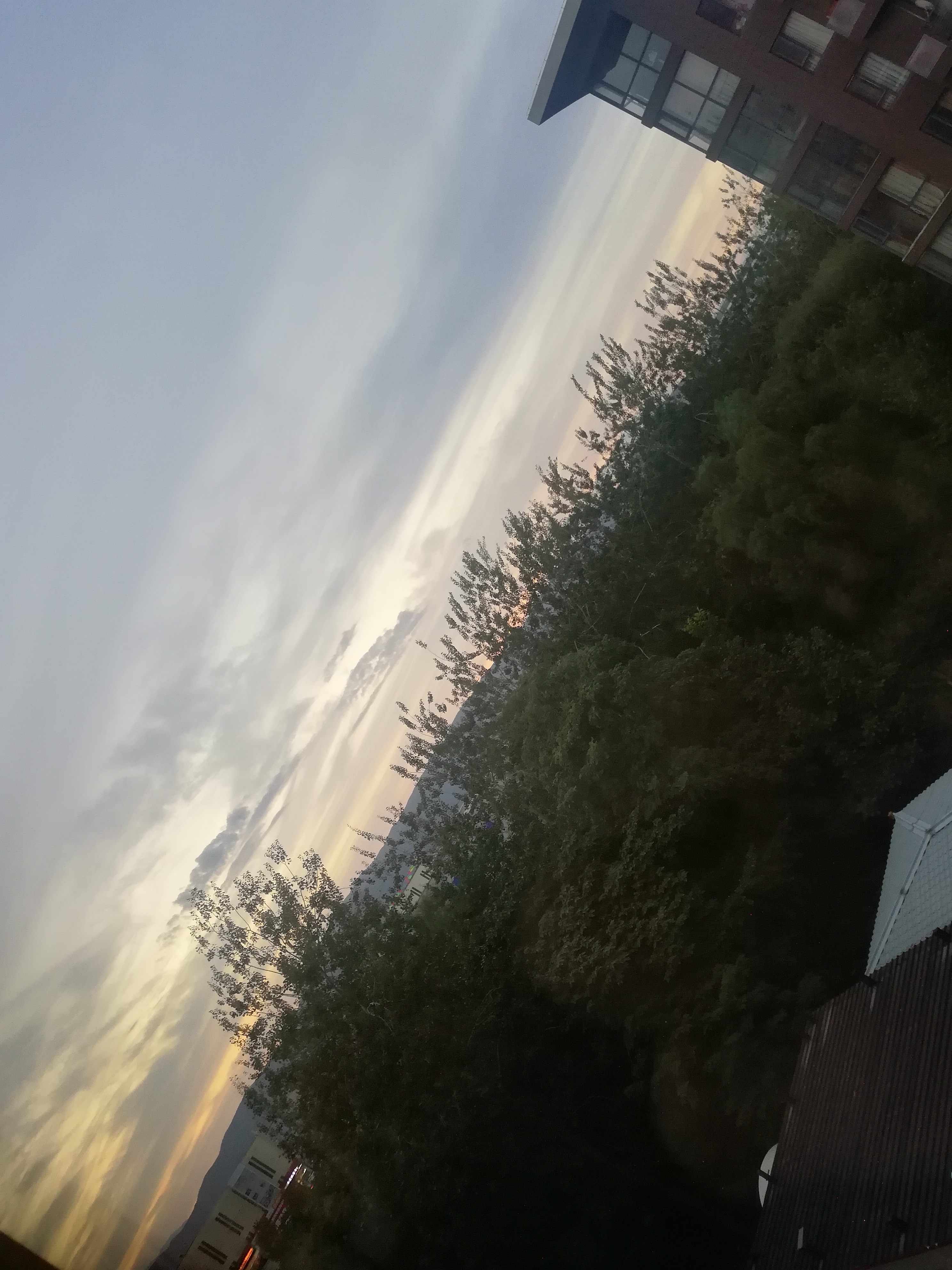 IMG_20230920_182100.jpg