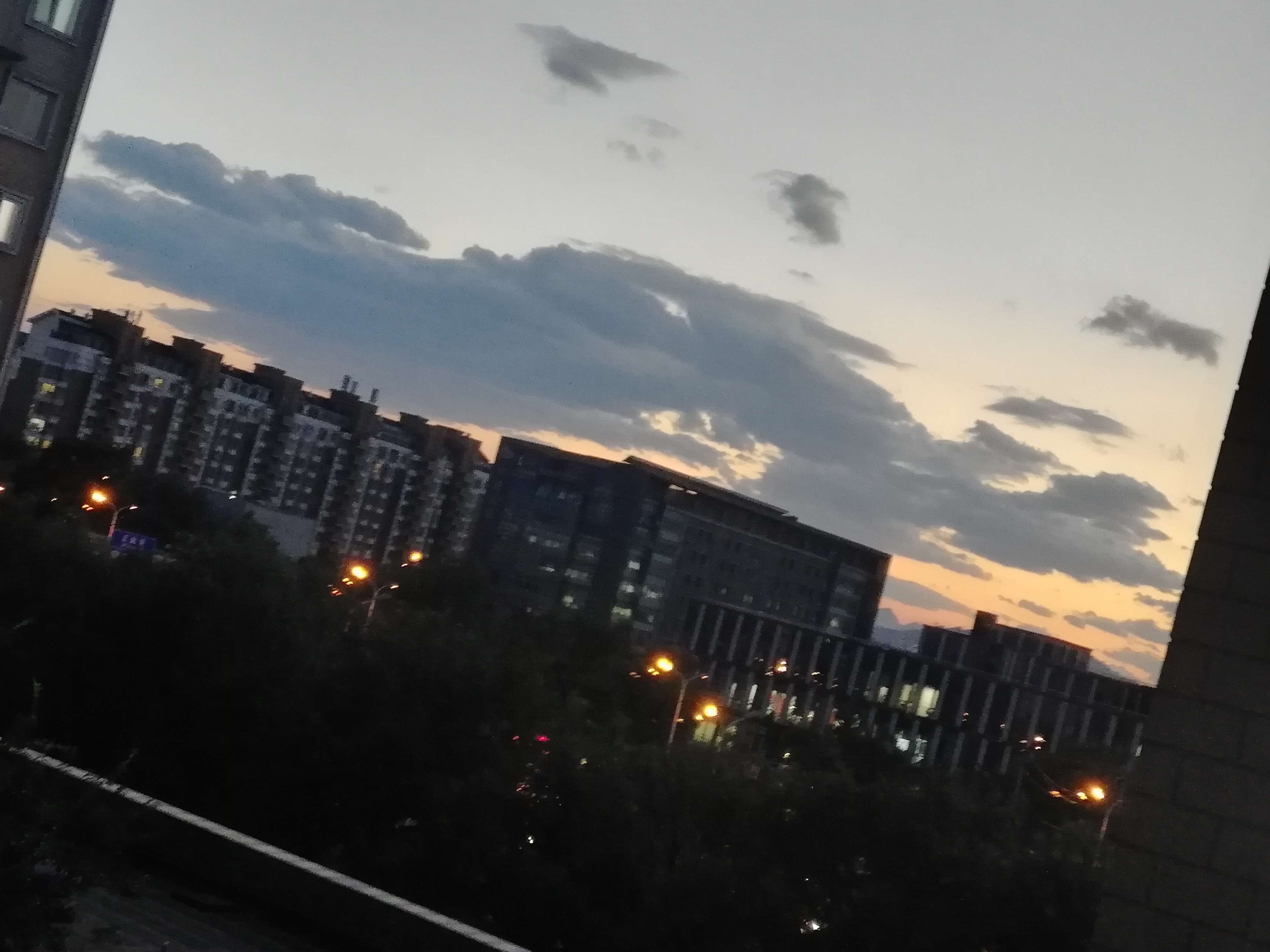 IMG_20231008_180352.jpg
