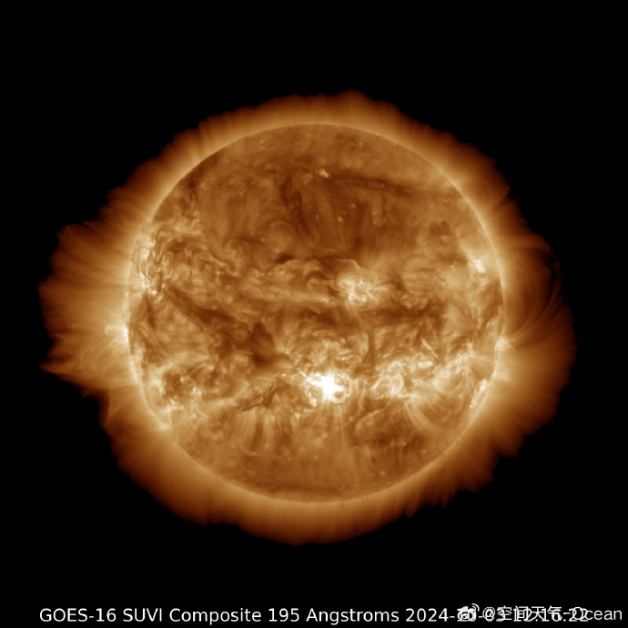 874be63193.jpg
