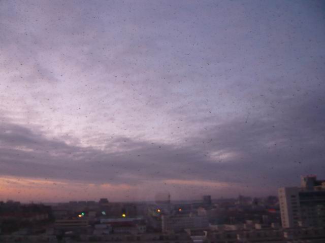 调整大小 P1020269.JPG