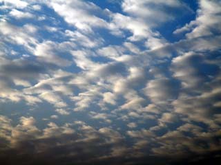 DSCF0321-1.jpg
