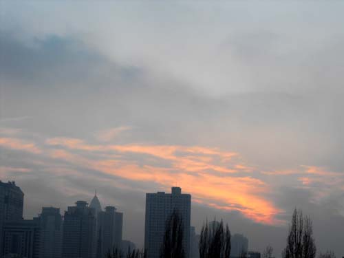 DSCF0268-1.jpg