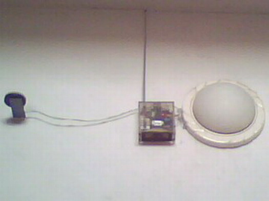 IMG0094A.jpg