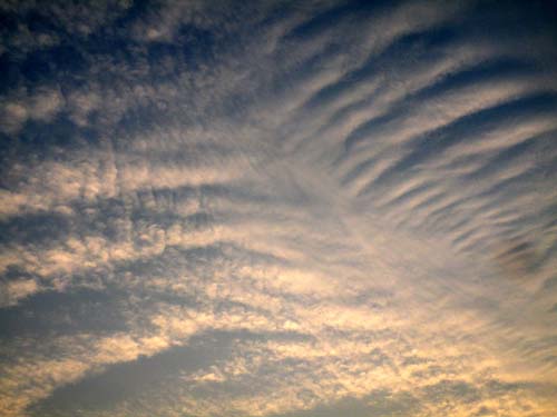 DSCF1392-1.jpg