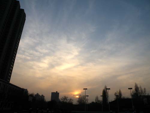 DSCF1454-1.jpg