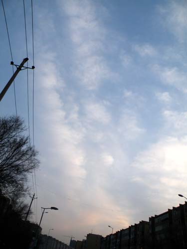 DSCF1464-1.jpg