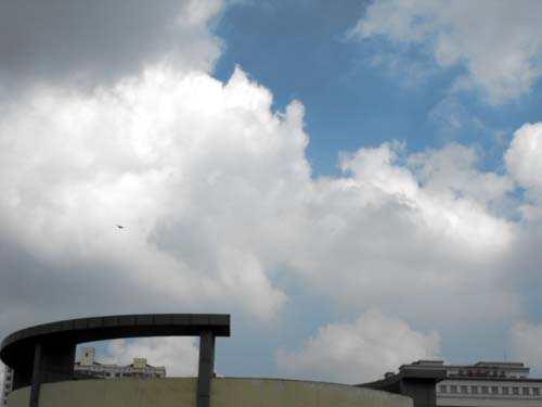 DSCF0442-1.jpg