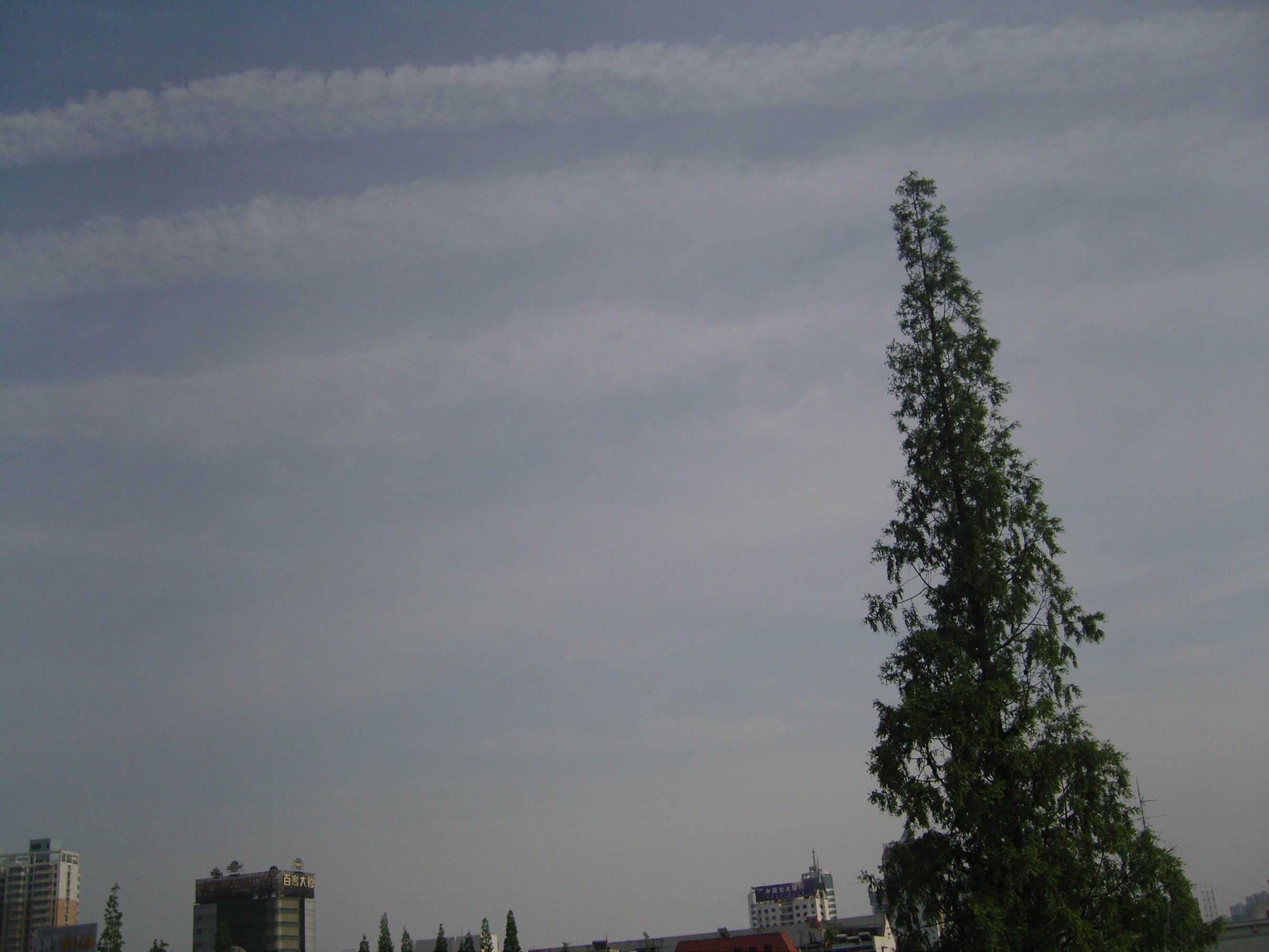 调整大小 上传5.jpg