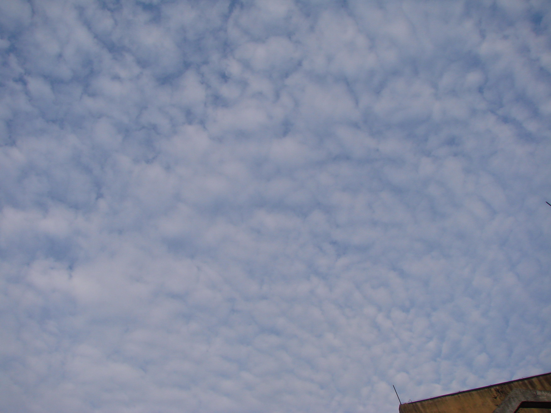 DSC08717-1.JPG