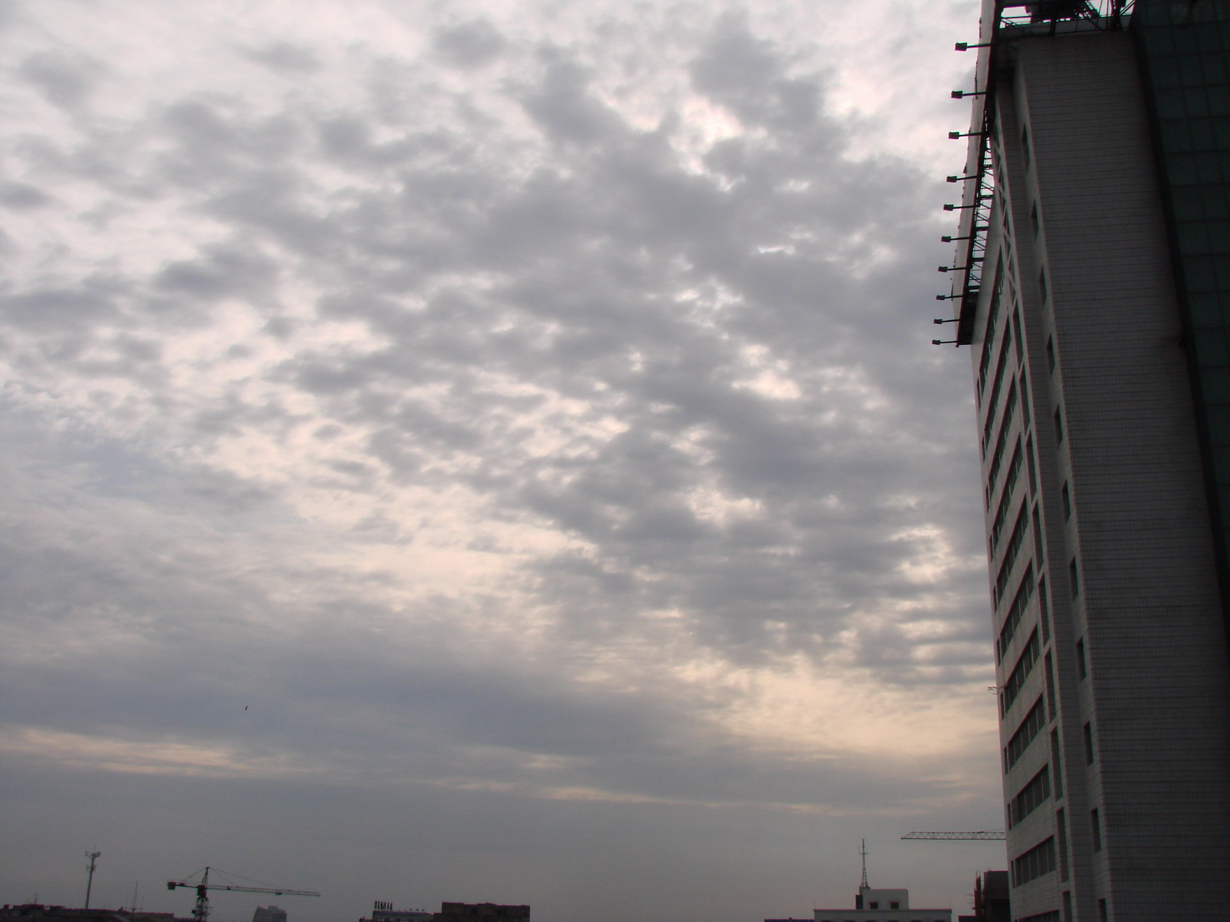 DSC08735-1.JPG