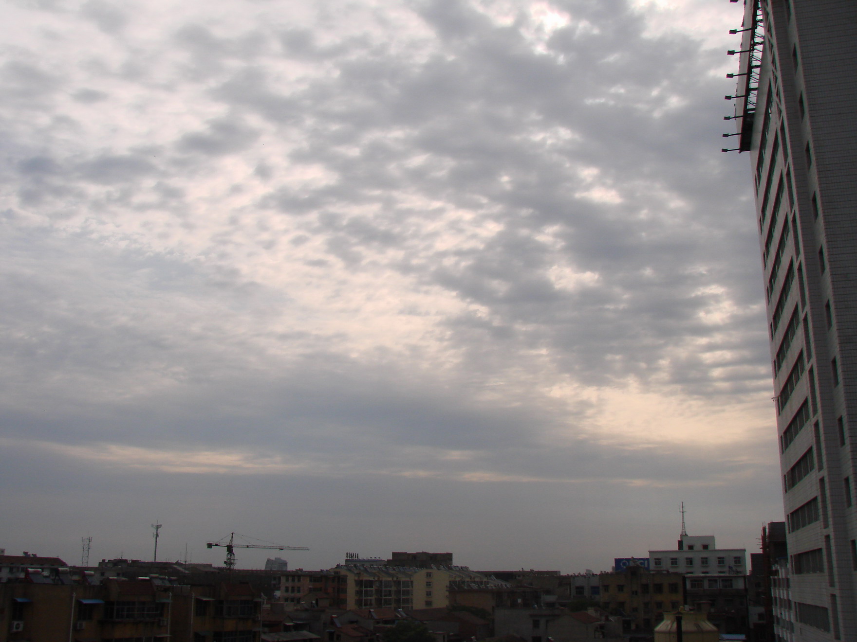 DSC08737-1.JPG