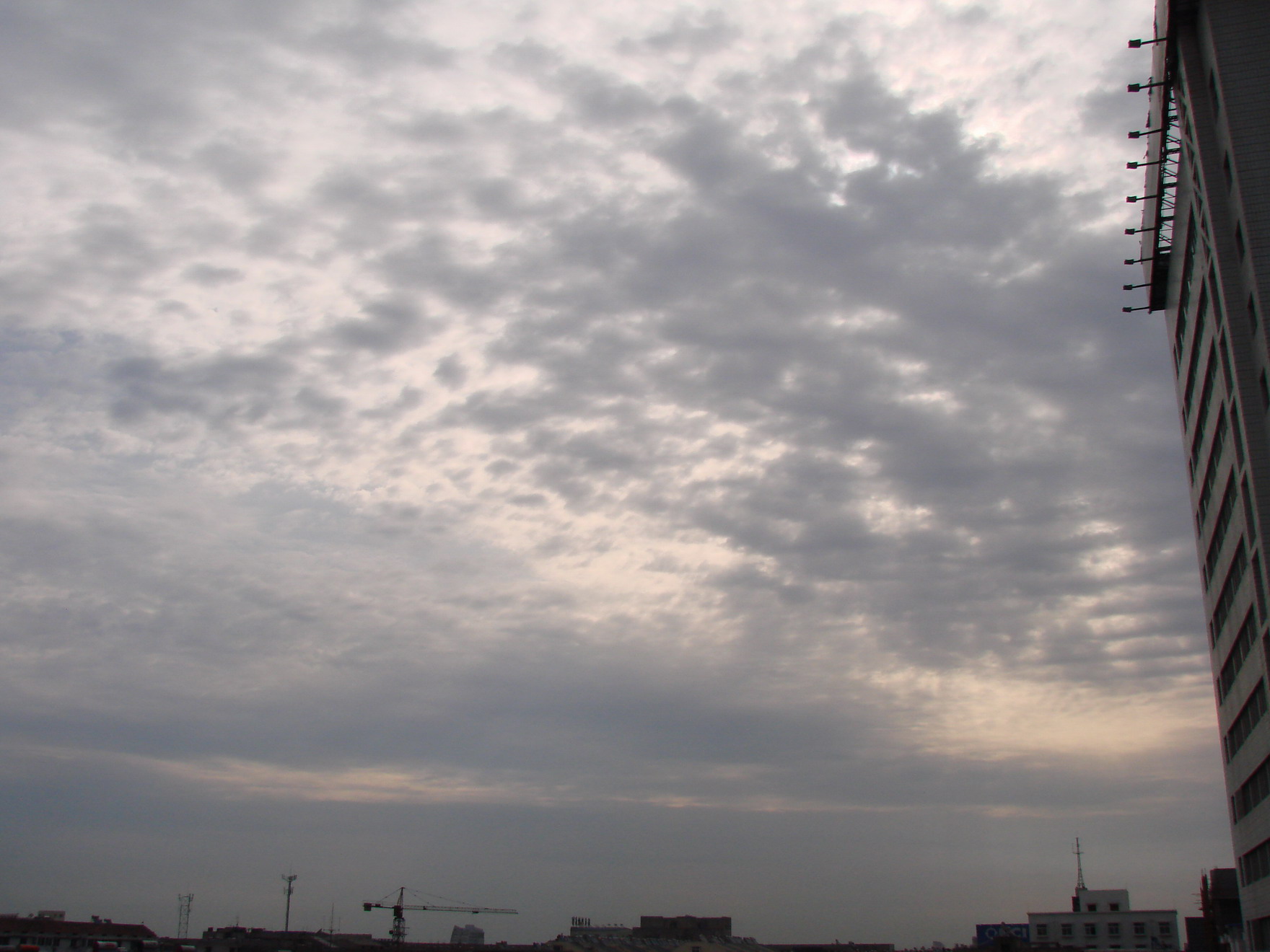 DSC08738-1.JPG