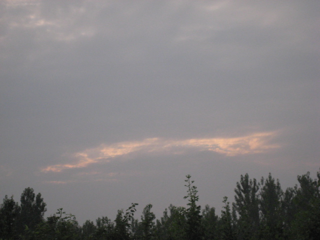 IMG_1881.JPG
