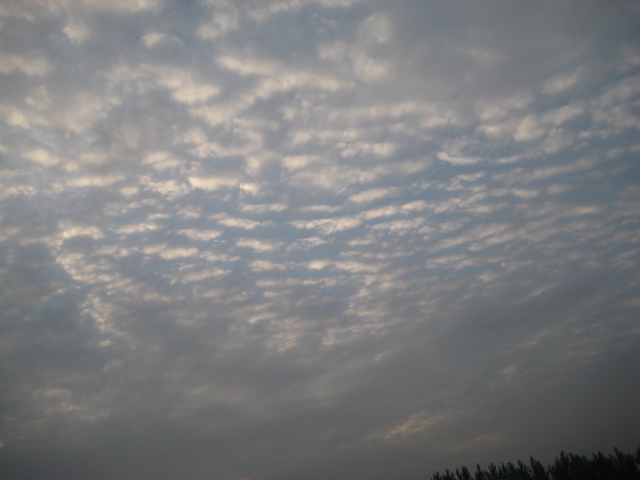 IMG_1880.JPG