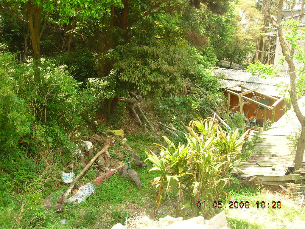 DSCN0019.JPG