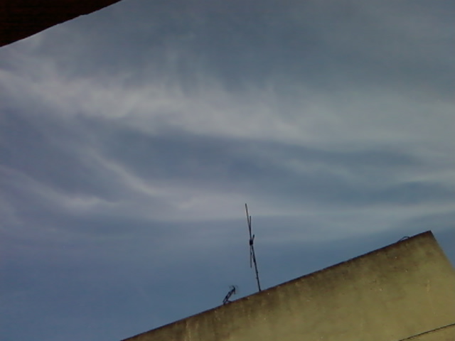 20090723(002).jpg