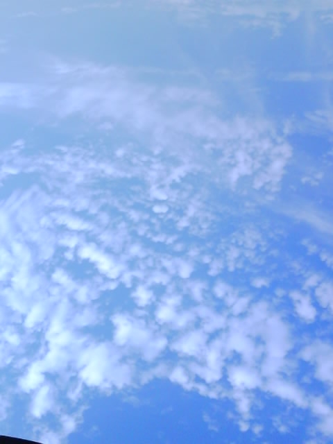 206.JPG