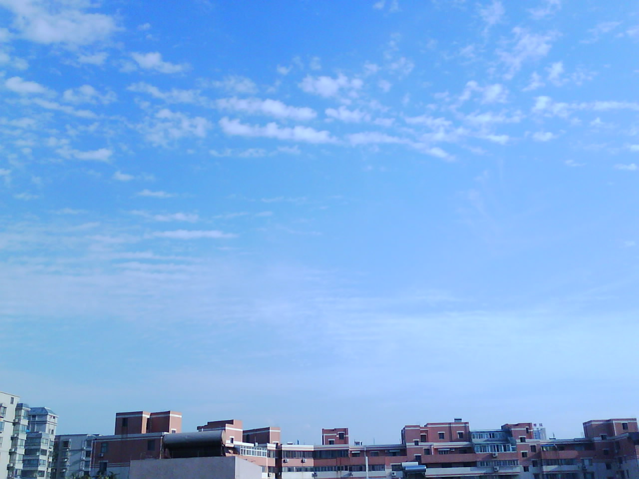 IMG0054A.jpg