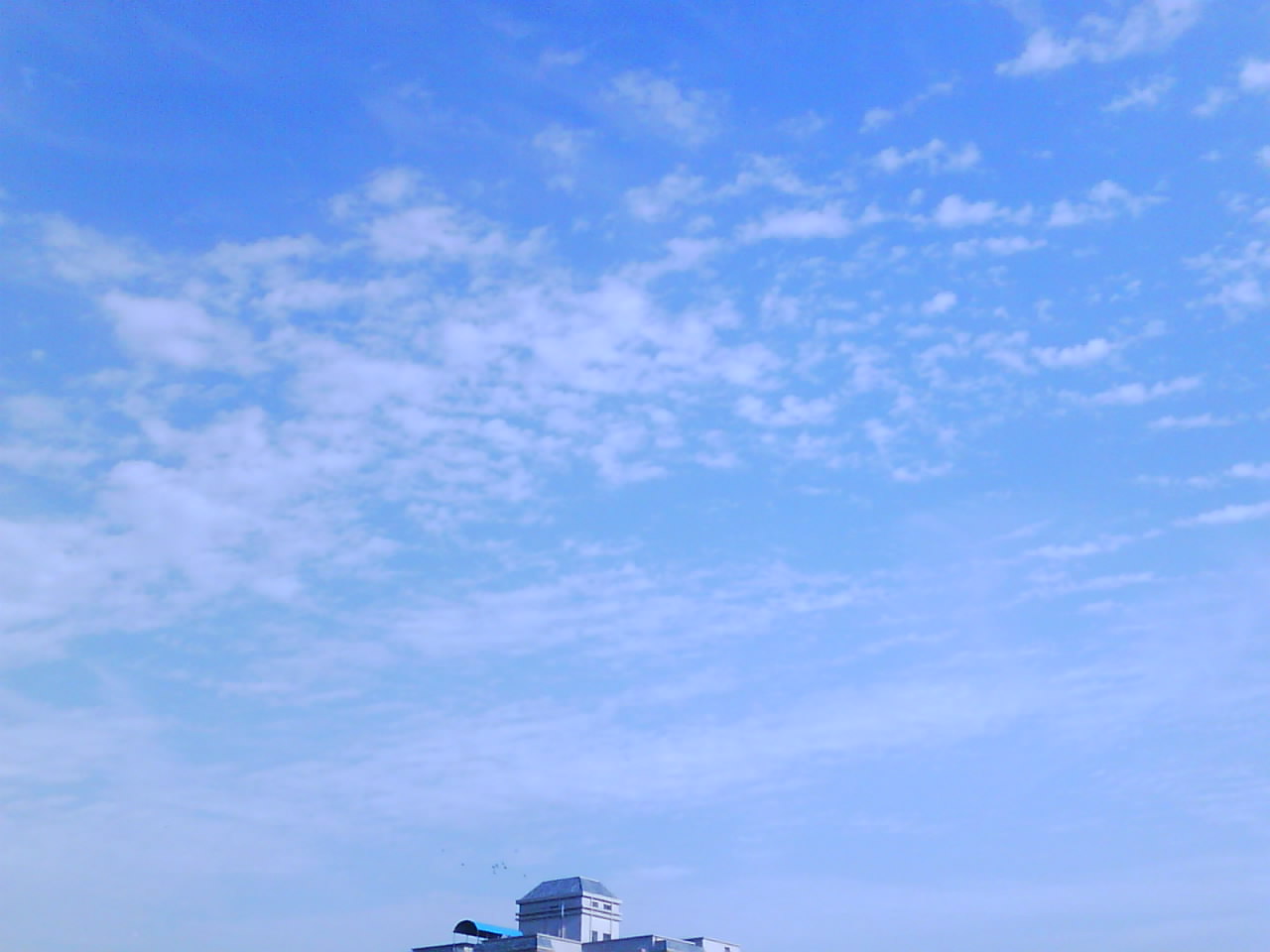IMG0047A.jpg