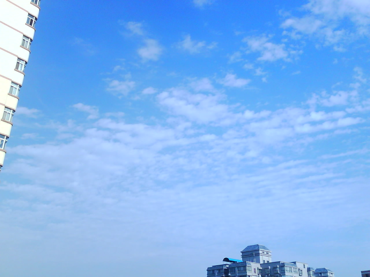 IMG0062A.jpg