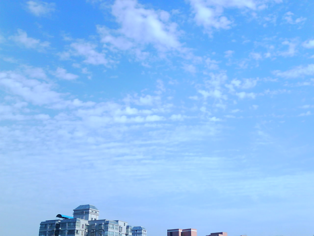 IMG0063A.jpg