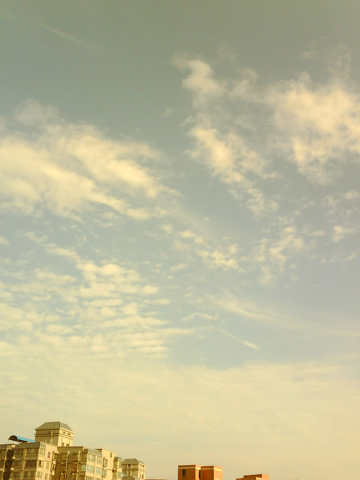 IMG0080A.jpg