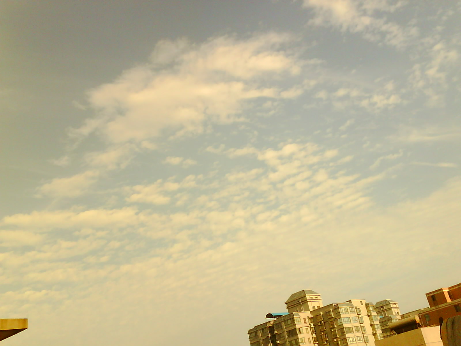 IMG0081A.jpg