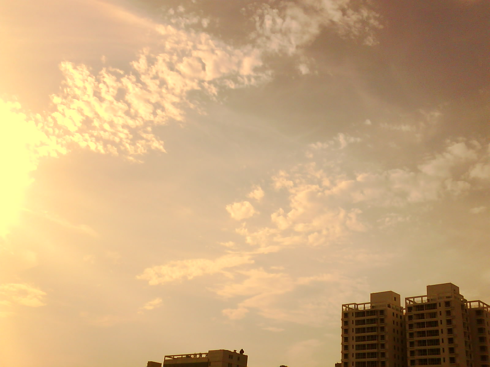IMG0088A.jpg
