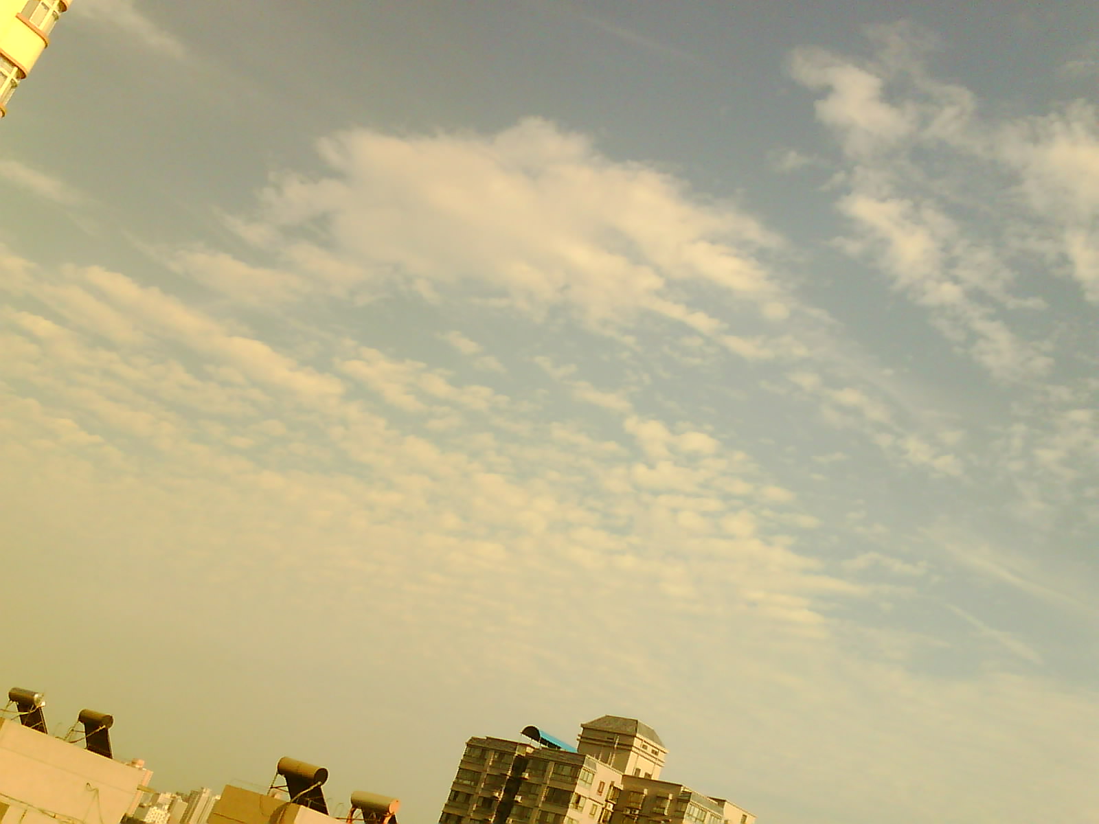 IMG0084A.jpg