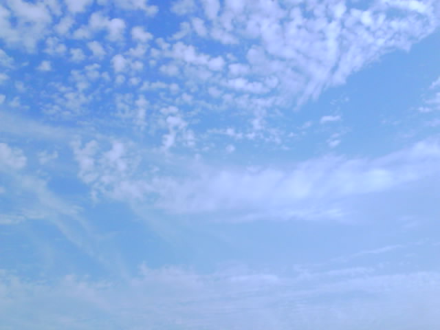 IMG0221A.jpg